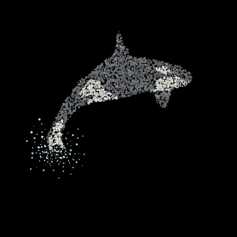 Orka Orca Killerwal Mörderwal Wale