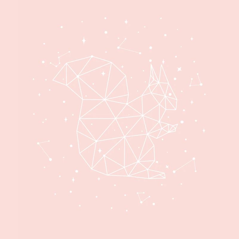 Constellation Squirrel Constellation Squirrel