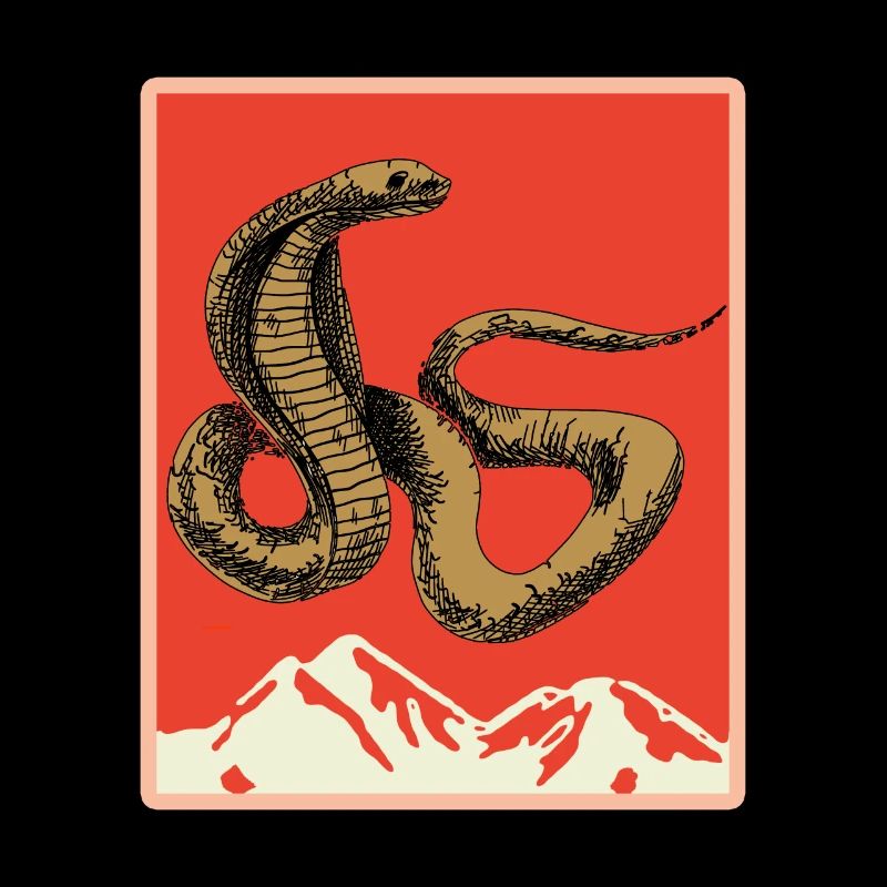 Schlange Geschenk Tier Reptil Cobra Python Boa
