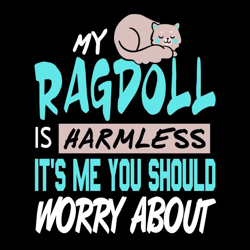My Ragdoll Is Harmless It's Me You Should Worry