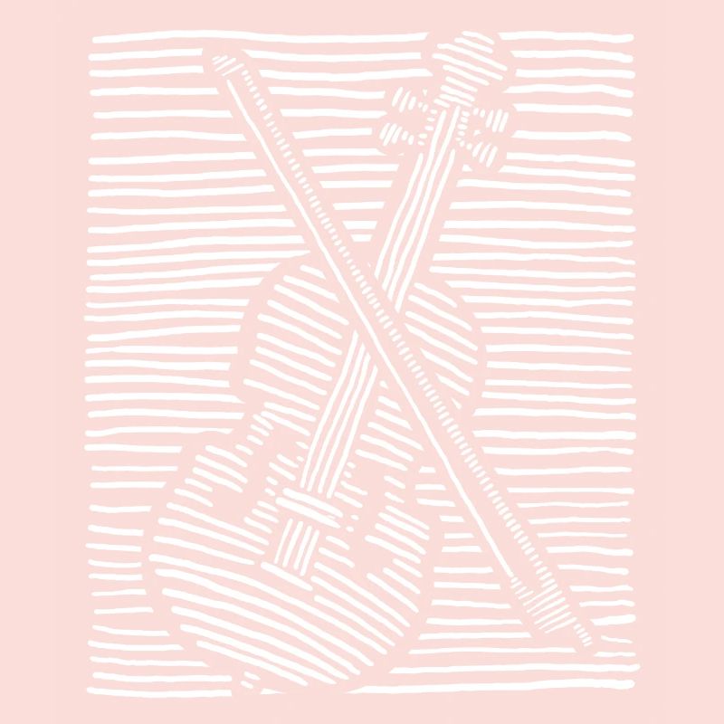 Violin Violin String instrument Viola