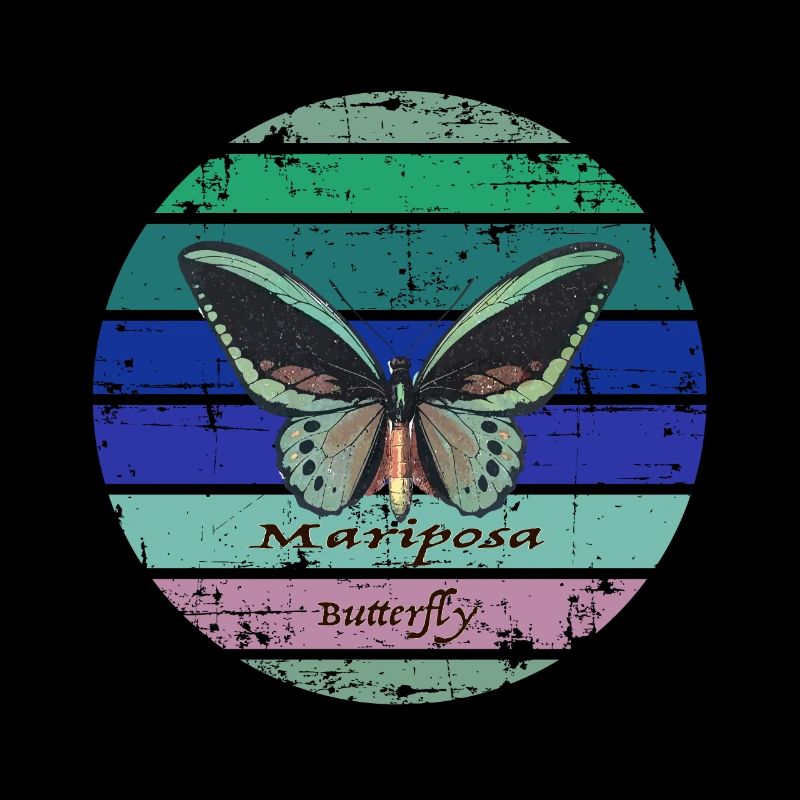 Papillon coloré