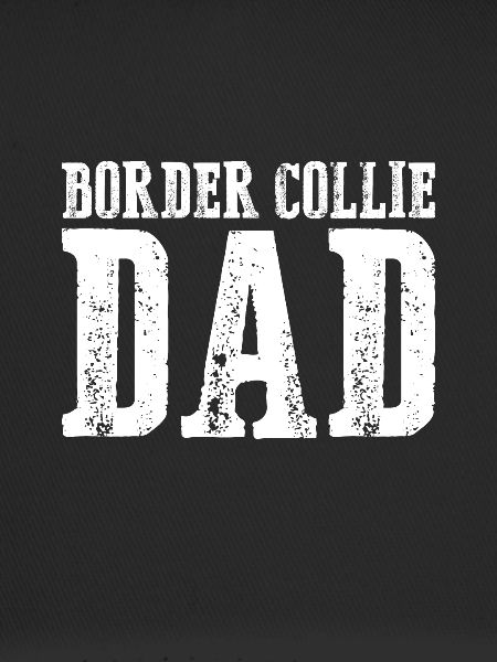 Border Collie Dad