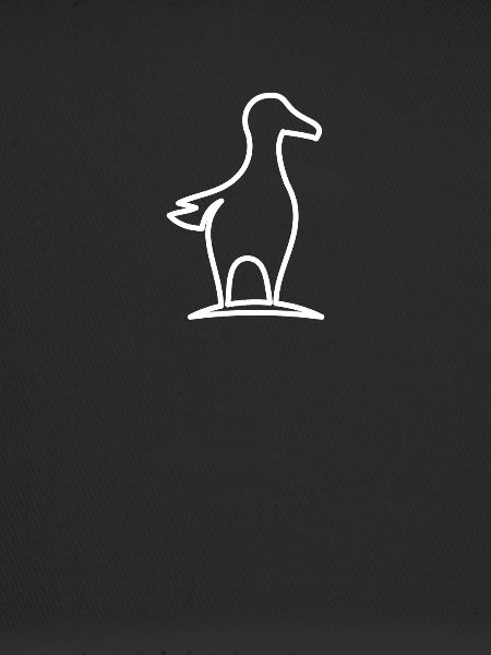Mouette maritime