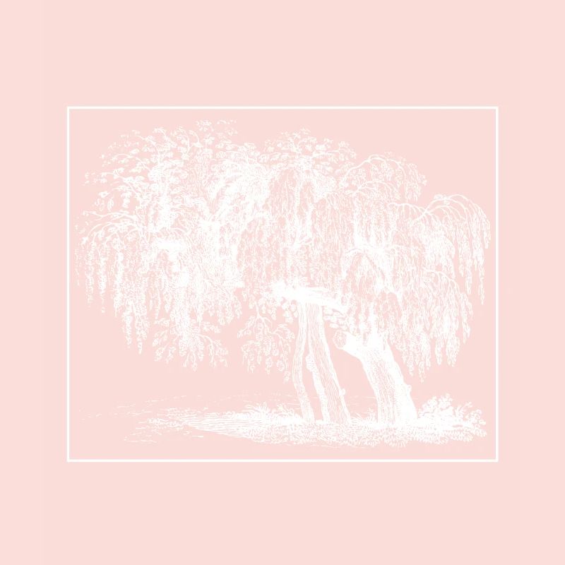 Baum