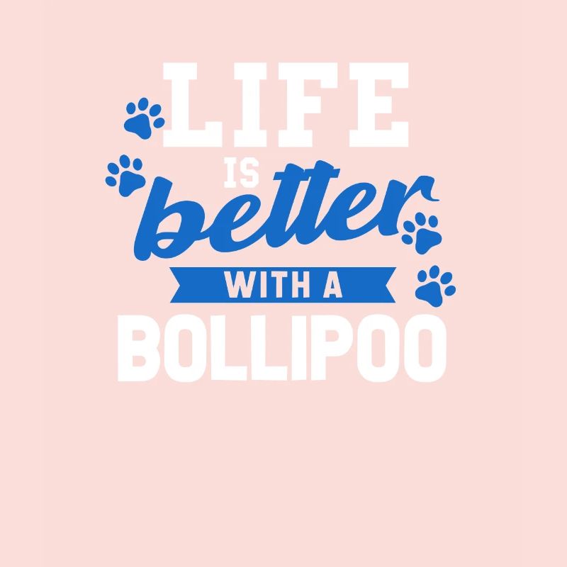 Bollipoo