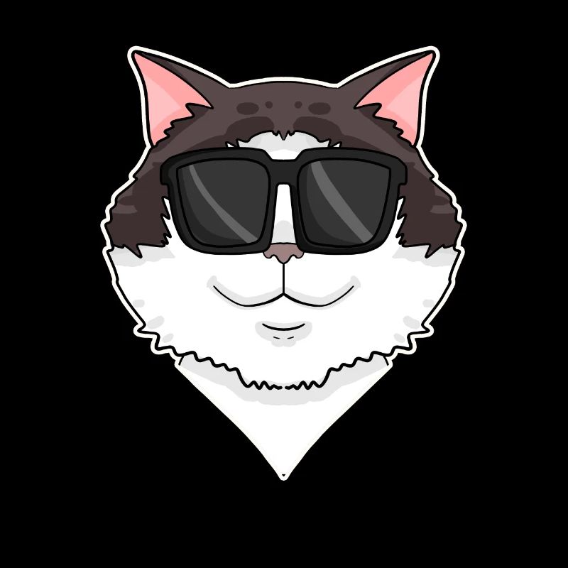 Ragdoll Cat