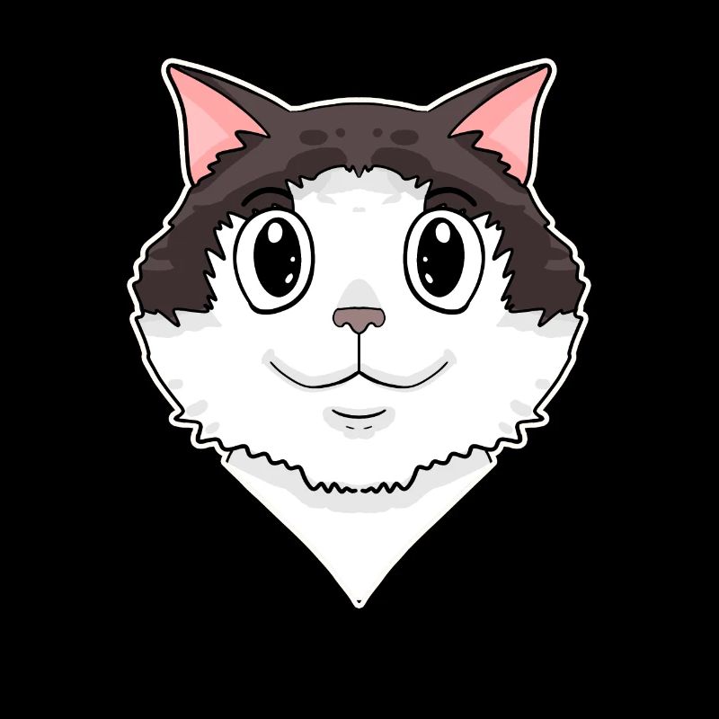 Ragdoll Cat