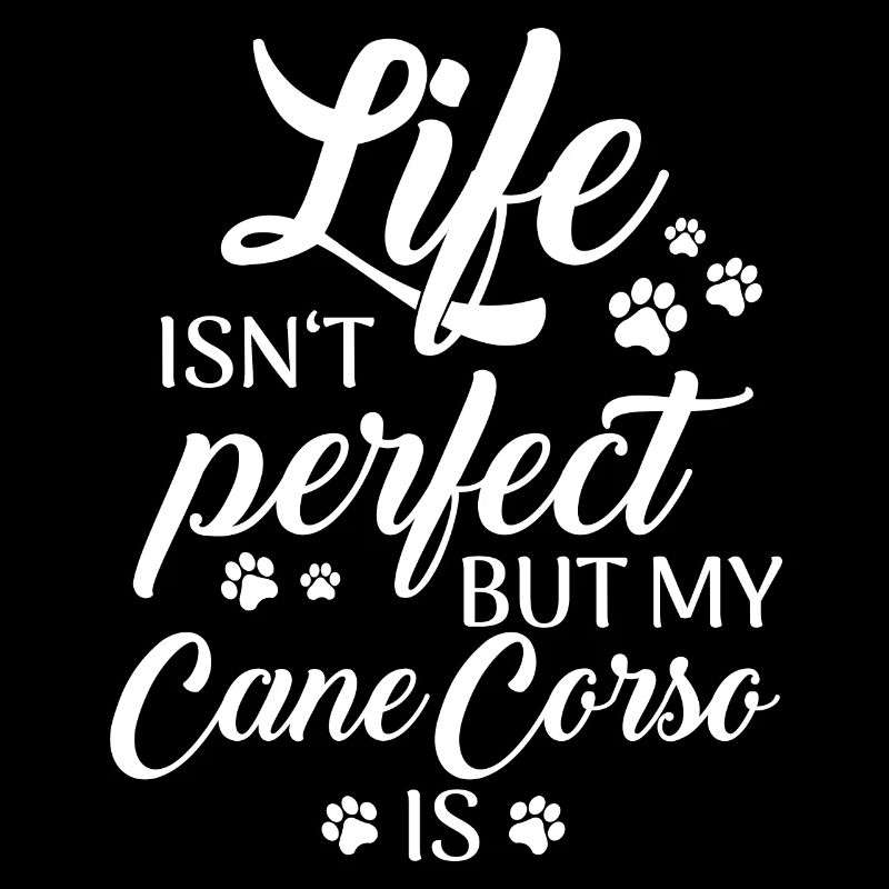 Cane Corso Chien