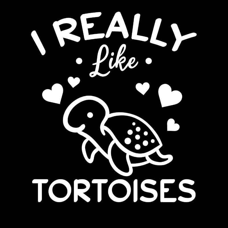 Turtle lover Sweet turtle I like