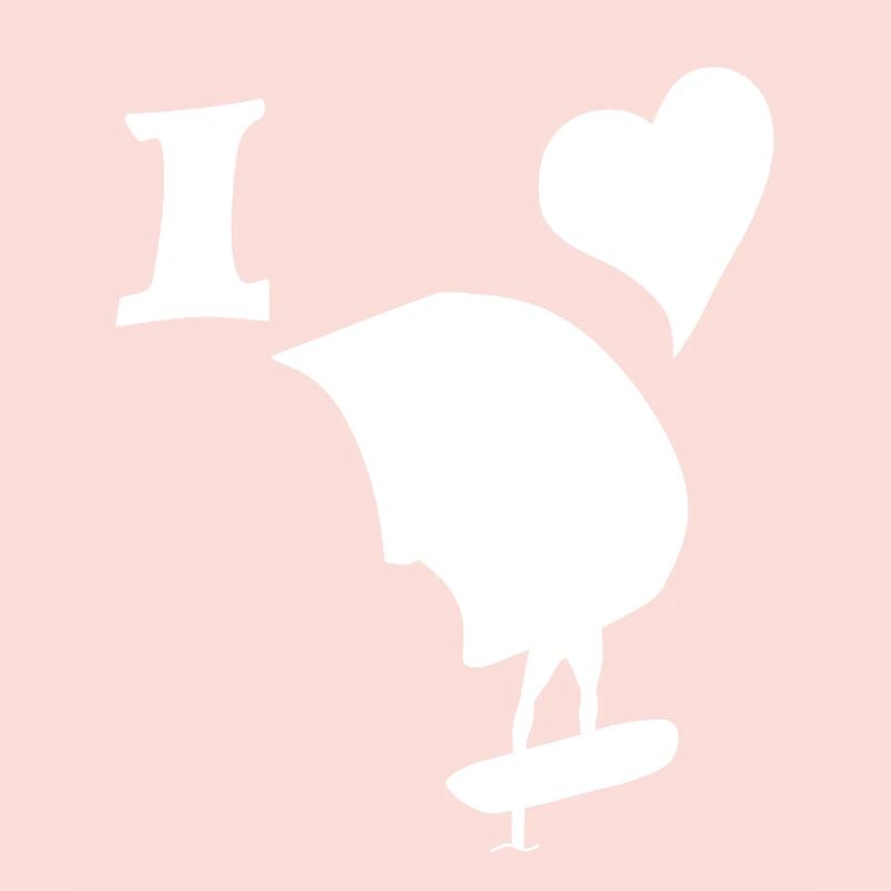 Echte Wingfoil Liebe