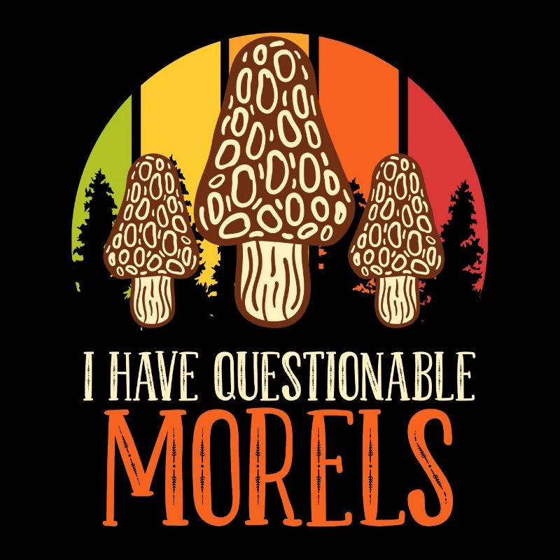 Mushroom picker saying I have questionable Morels