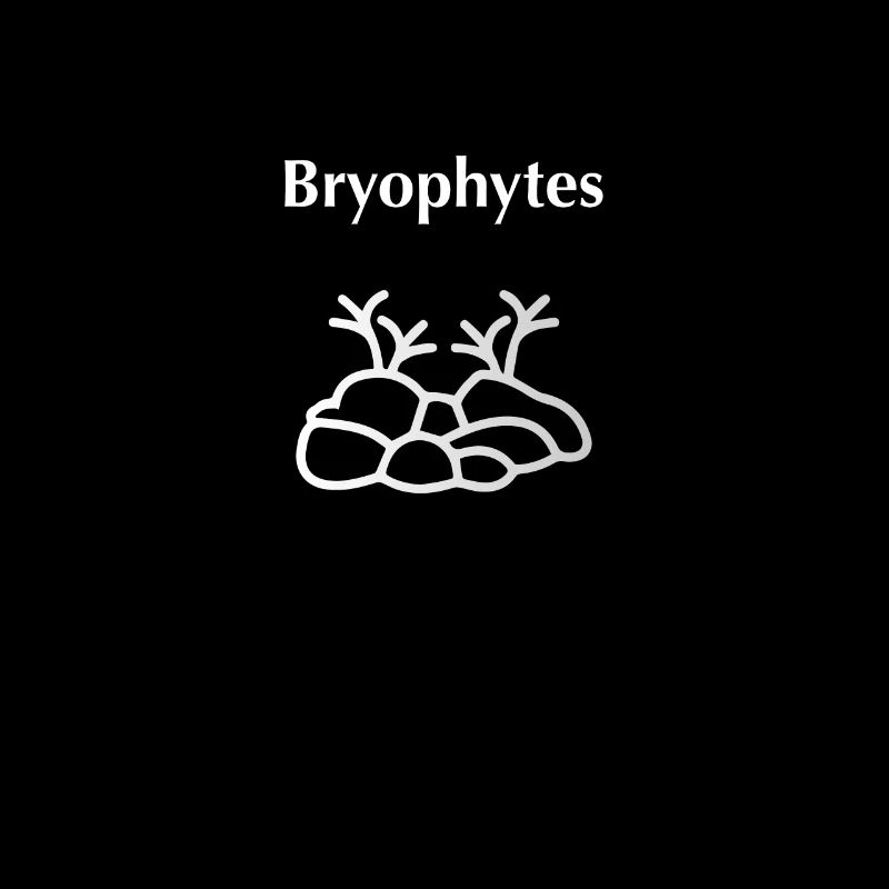 Bryophytes