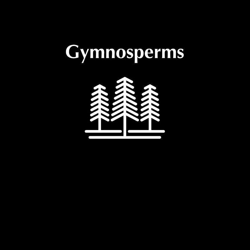 Gymnospermes