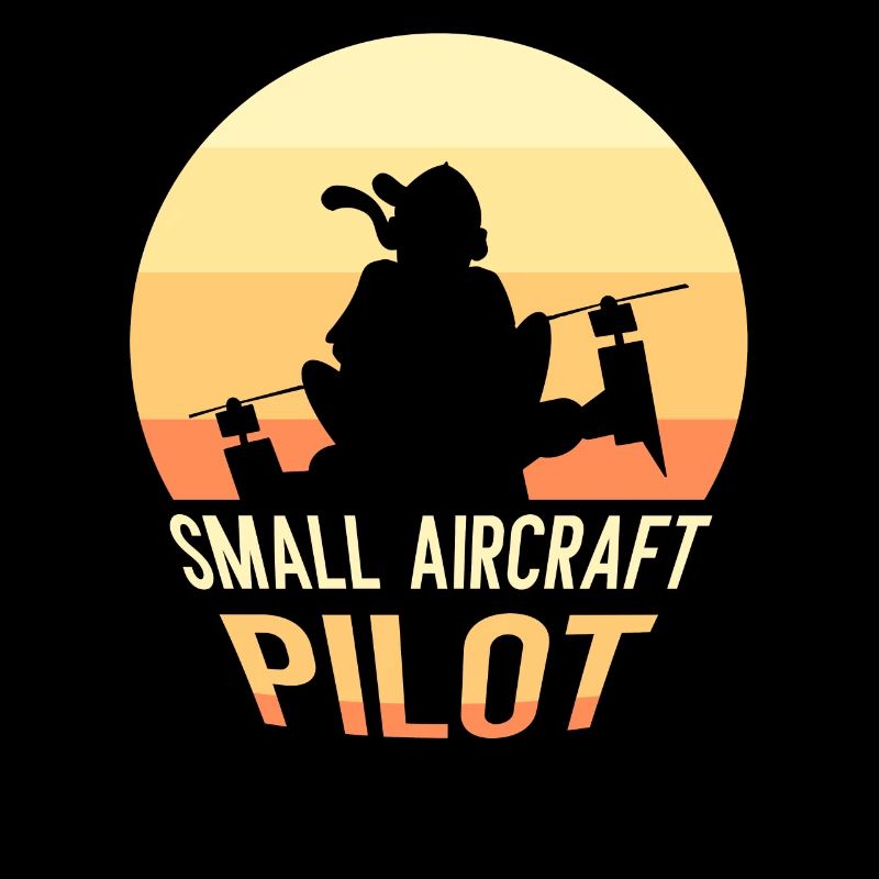 Kleinflugzeug Pilot Privatflugzeug Leichtflugzeug