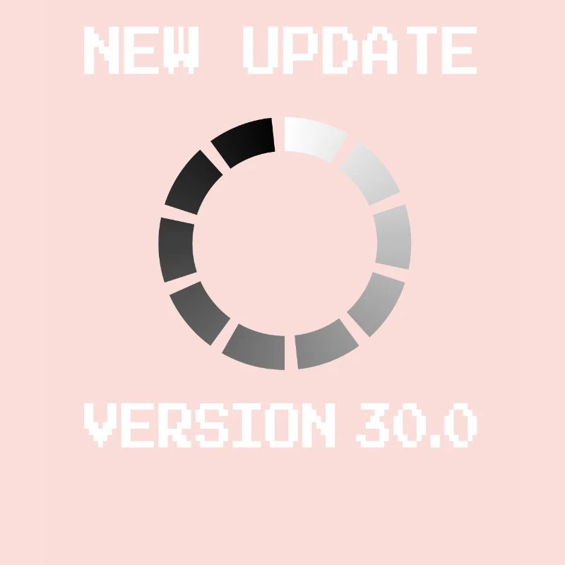 Programmeur 30e anniversaire informatik Cadeau