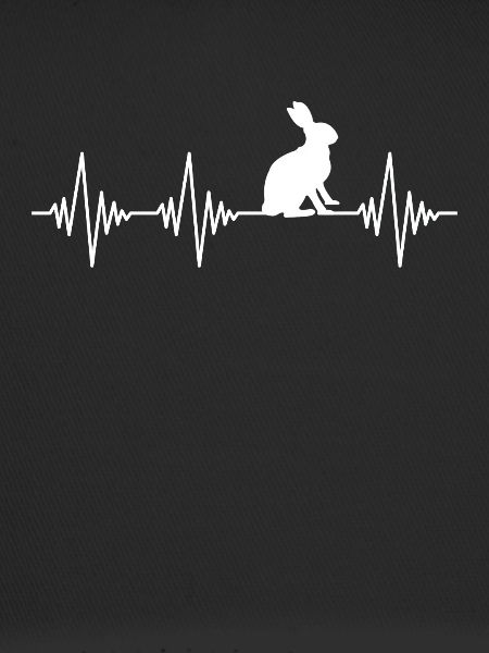 Rabbit Heartbeat