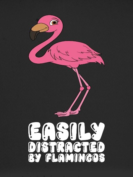 Funny flamingo graphics