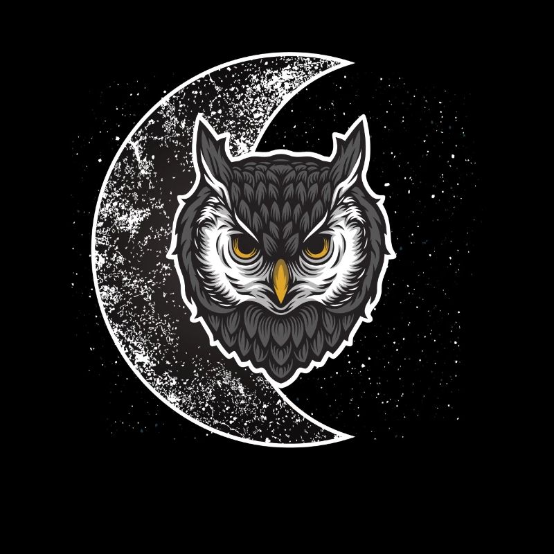 Eule Mond Vogel Süß Eulen Vögel