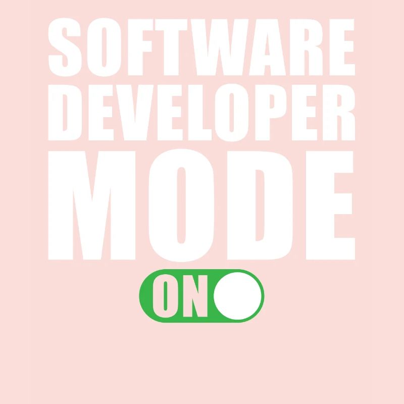 Software Entwickler Modus Ein