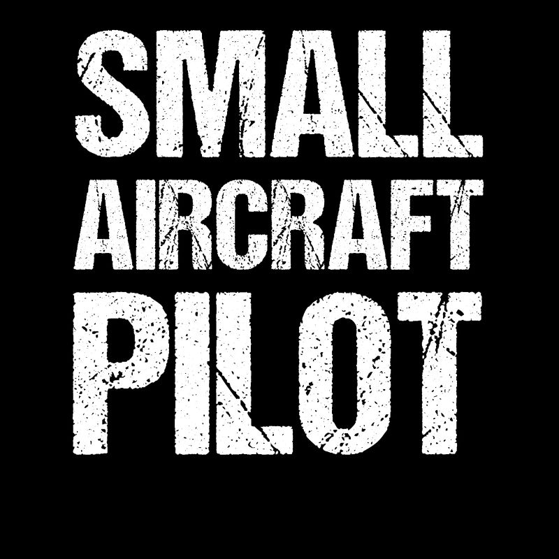 Kleinflugzeug Pilot Leichtflugzeug Privatflugzeug