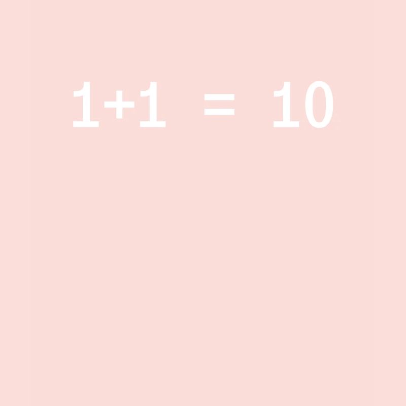 1 + 1 = 10 Funny Programmer Computer Science