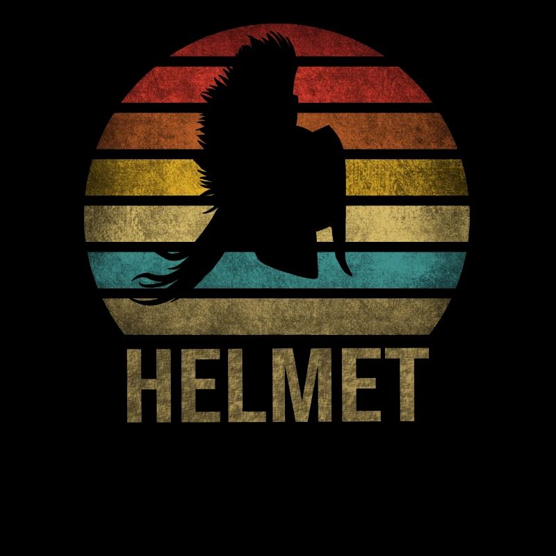 Plumed War Helmet Rome Sparta Retro Sunset