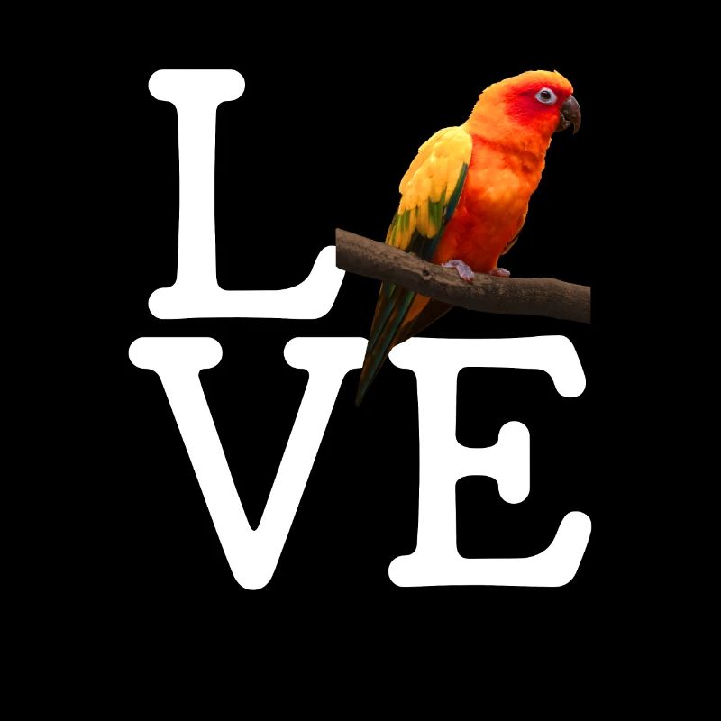 i love conure, parrot sun conure