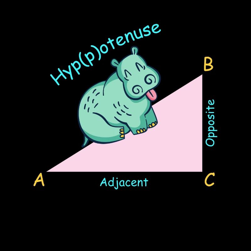 Professeur de mathématiques mathématicien Hippotenuse