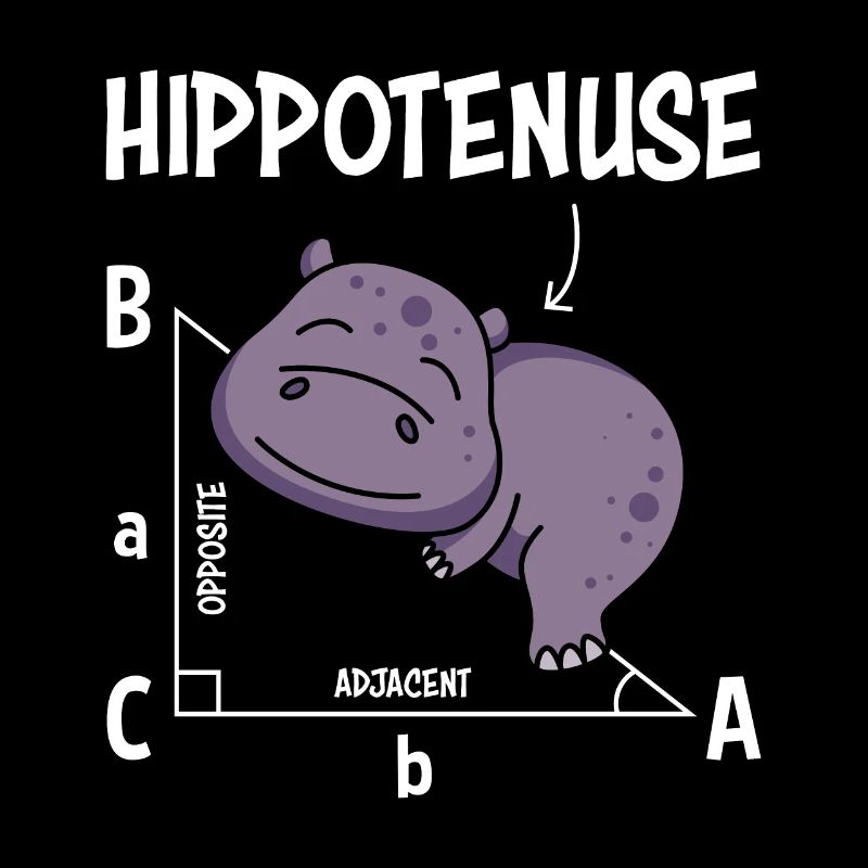Math teacher Hippotenuse Mathematics