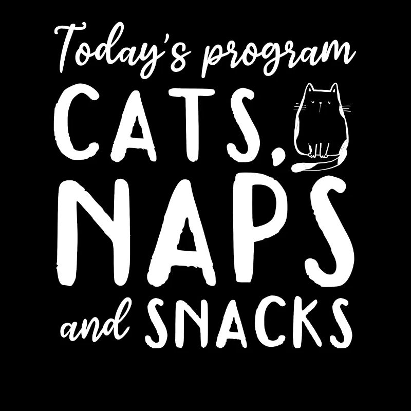 Funny Cat I Today's Program Cat Nap