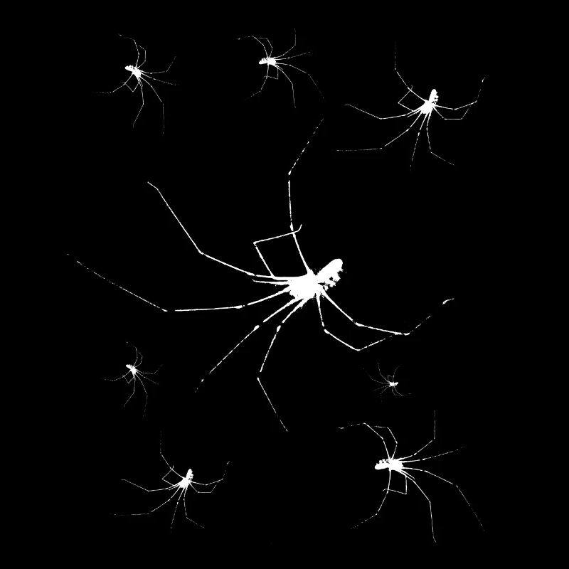 Halloween Spiders