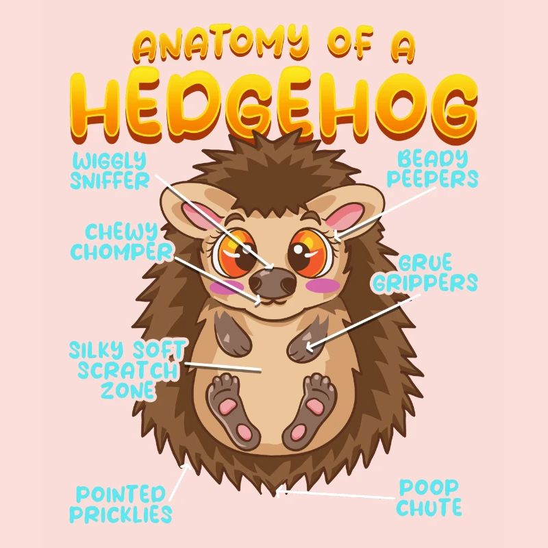 Anatomie d’un hérisson amusant