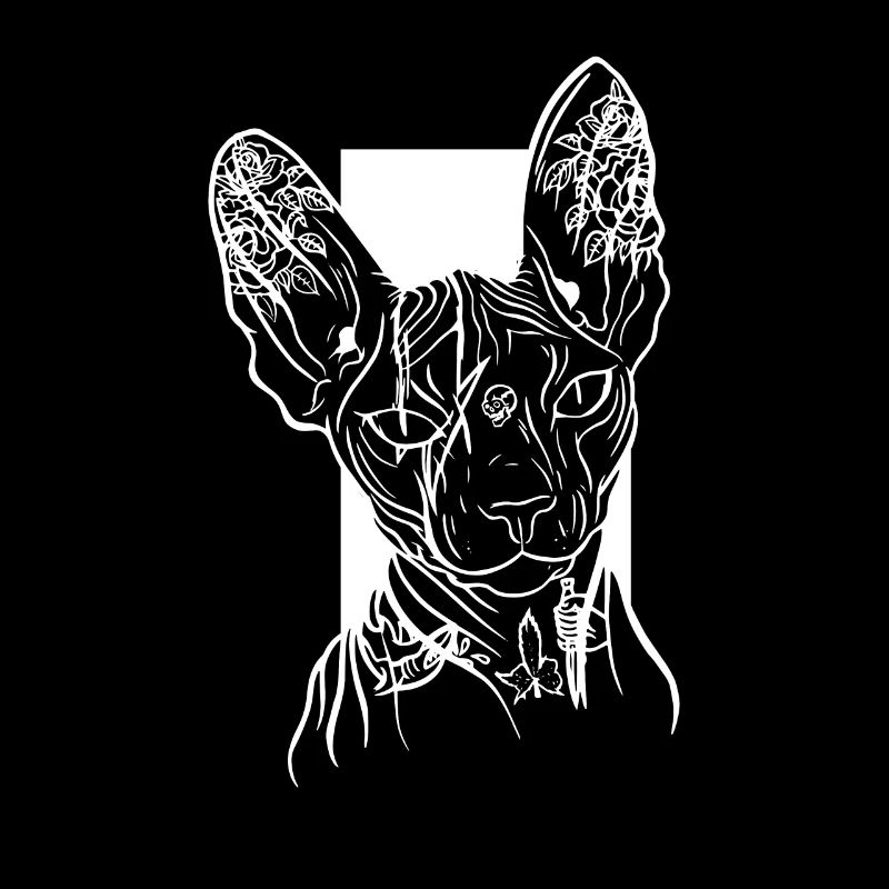 Sphinx Cat Lover Race de chat sans poils