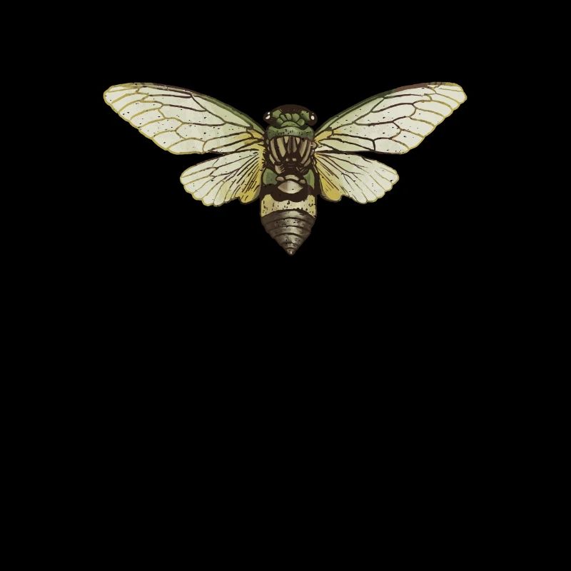 Cicada Cicada Brut Insect