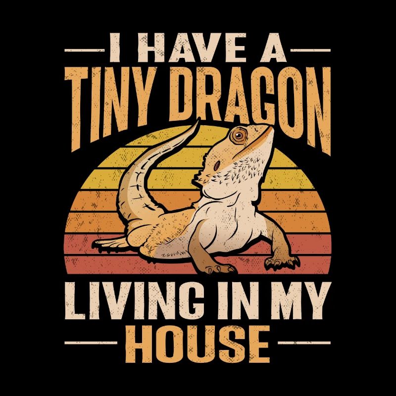 Bearded Dragon Lizard Reptile Herpetologist