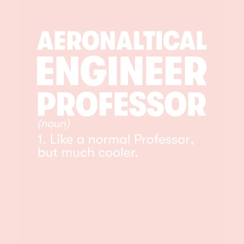 Aeronaltical Engineer Professor