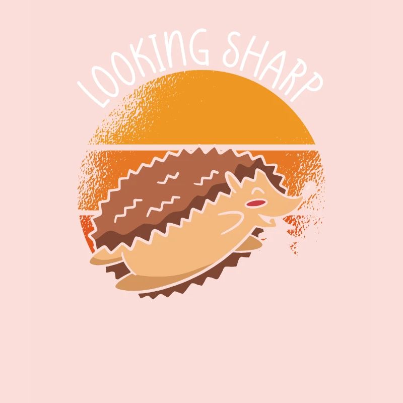 Search Sharp Hedgehog