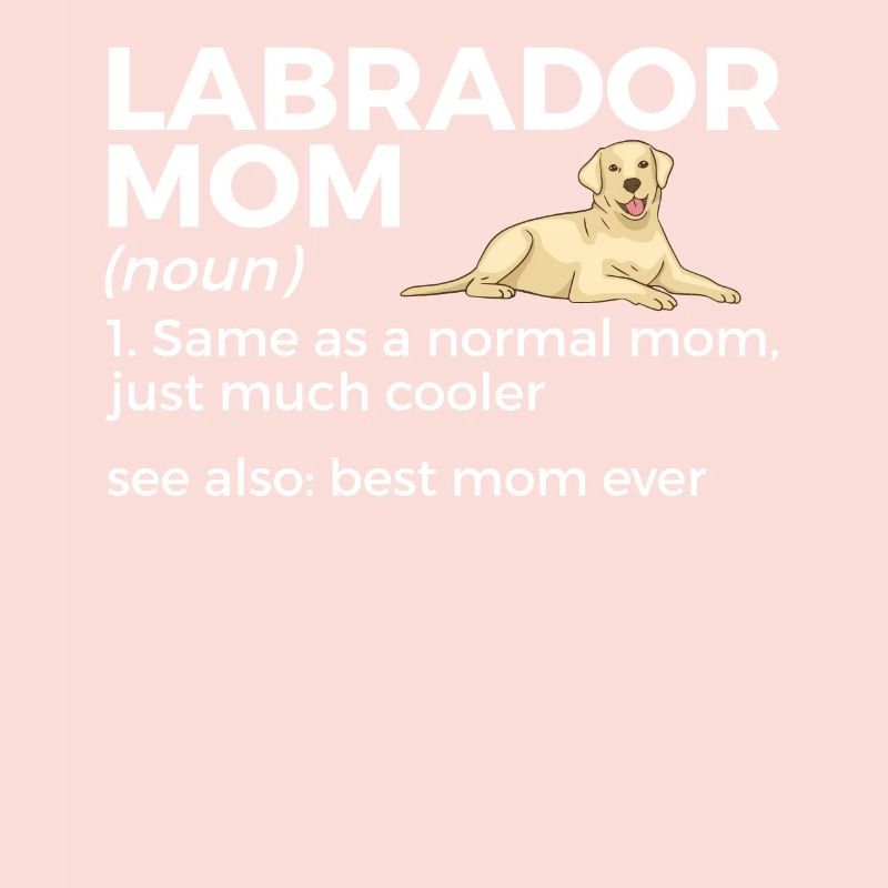 Labrador Hunde