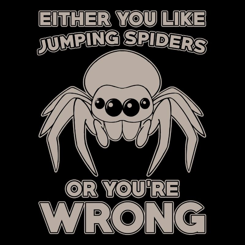 Dicton Jumping Spider
