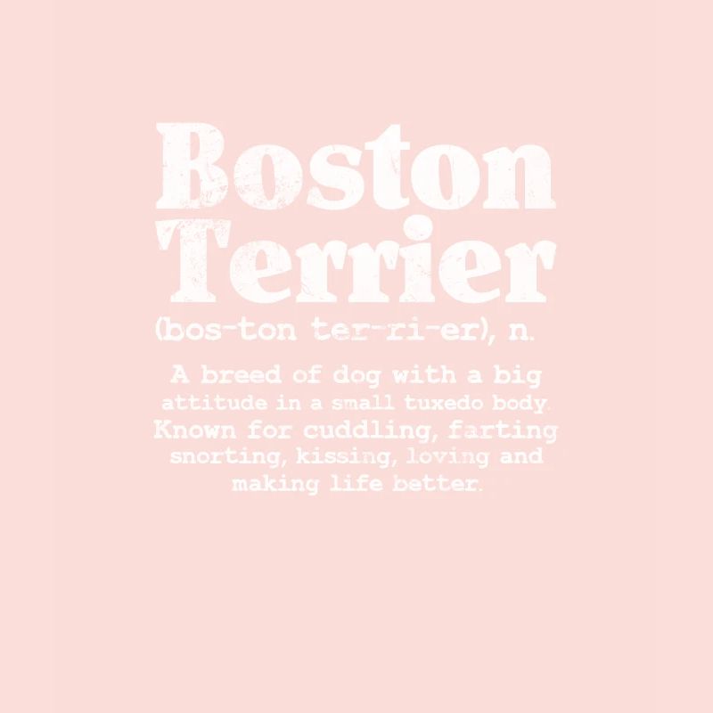 Boston Terrier
