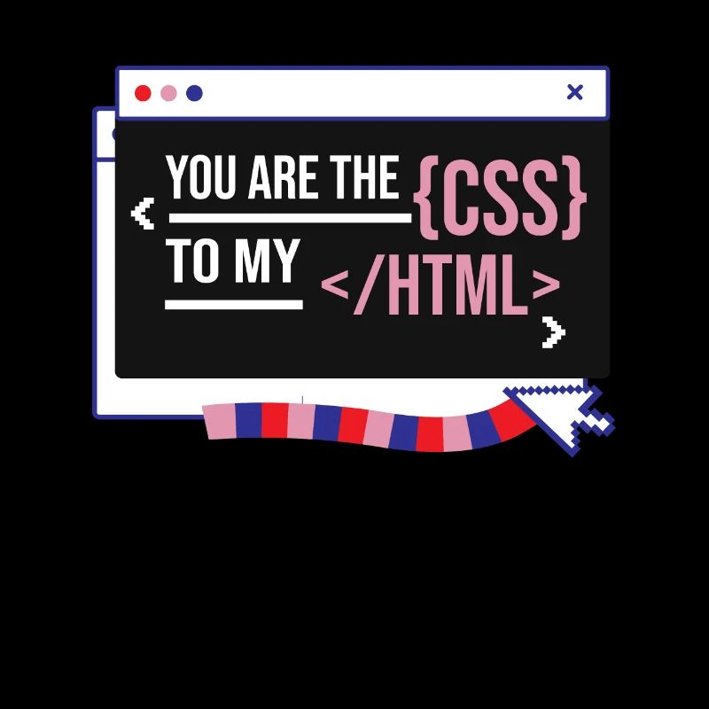 Software Developer Engineer