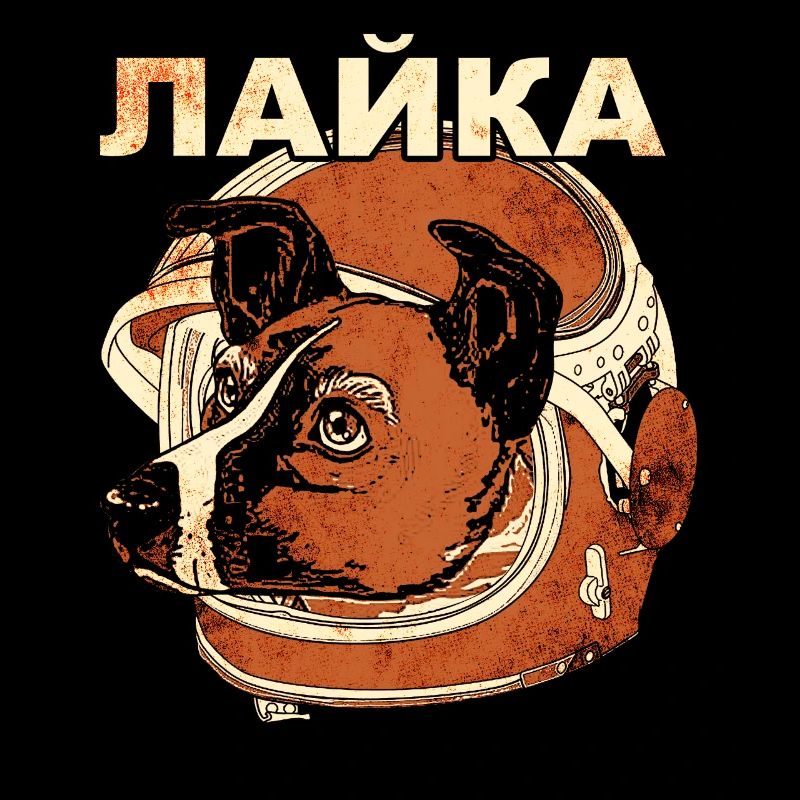 Laika Space Dog