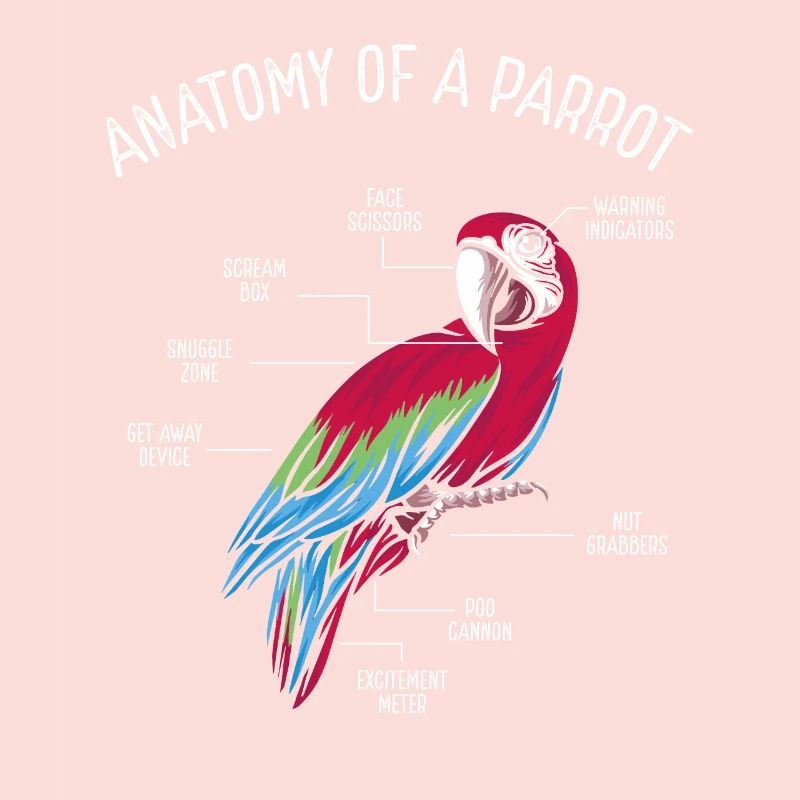 Anatomie d’un perroquet
