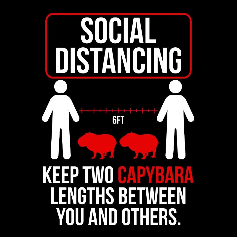 Social distancing Funny capybara