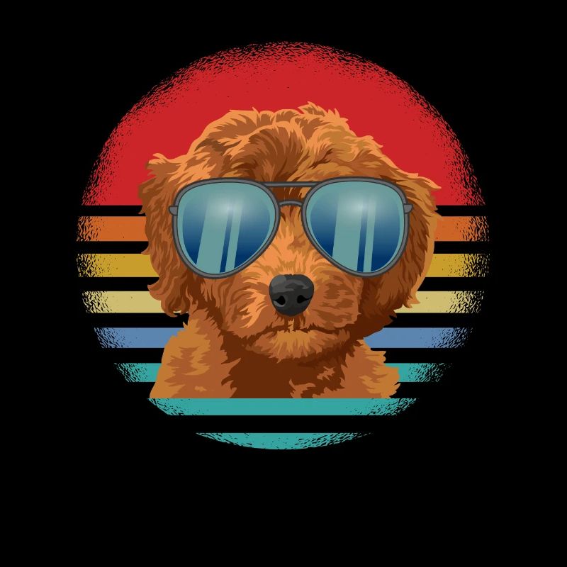 Chien Goldendoodle