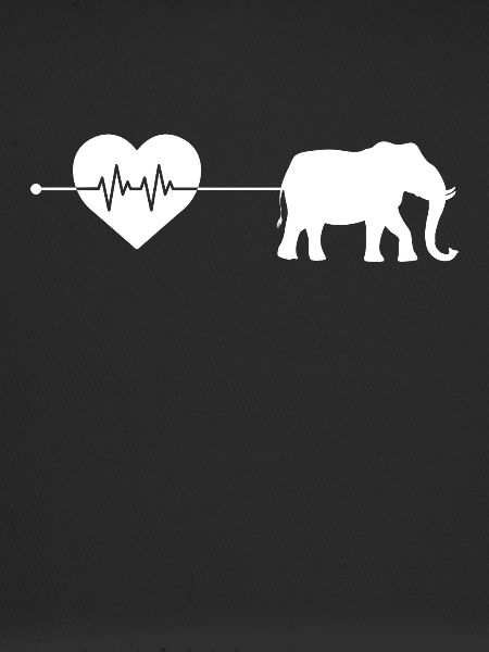 Elephant heartbeat