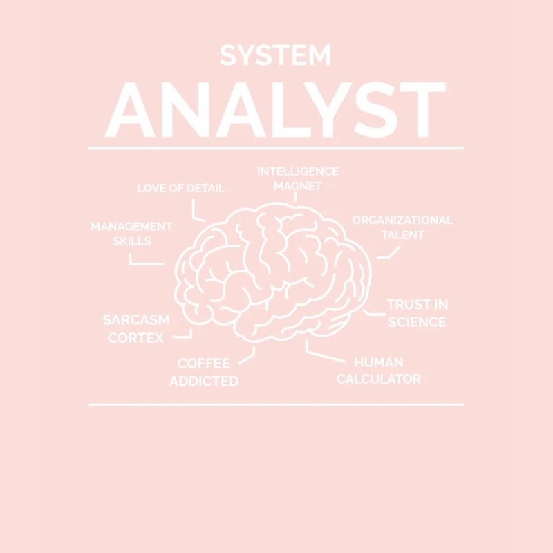 Systemanalytiker