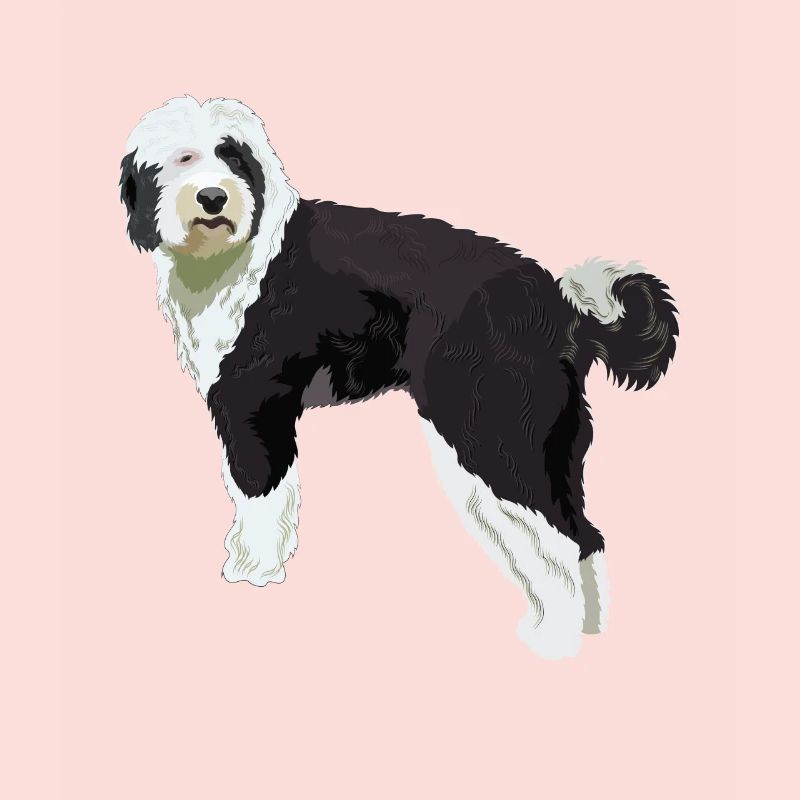 Sheepadoodle Hund Geschenk
