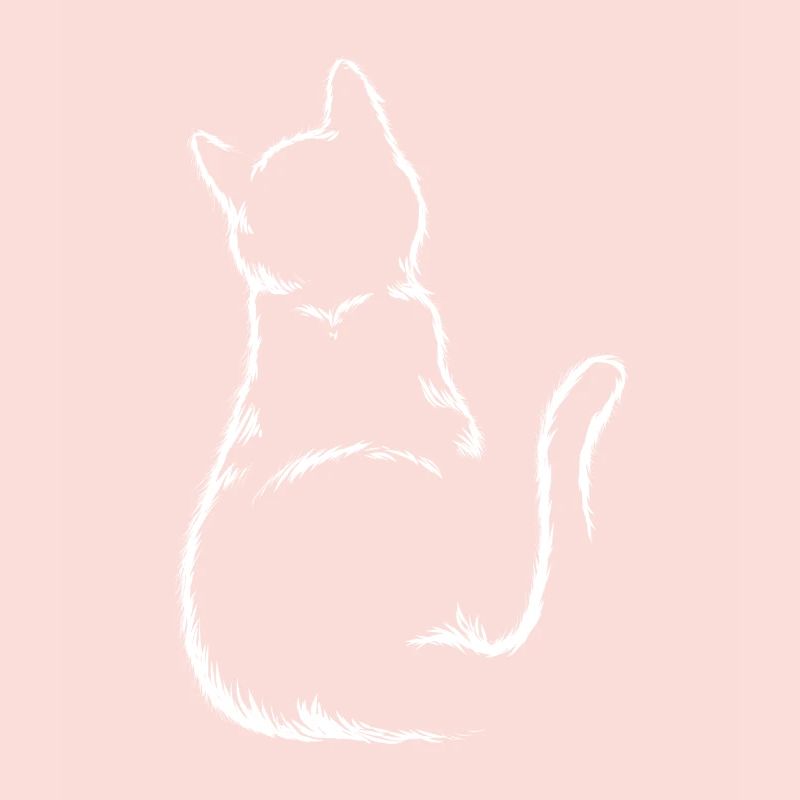 Chats Silhouette Chaton Chat